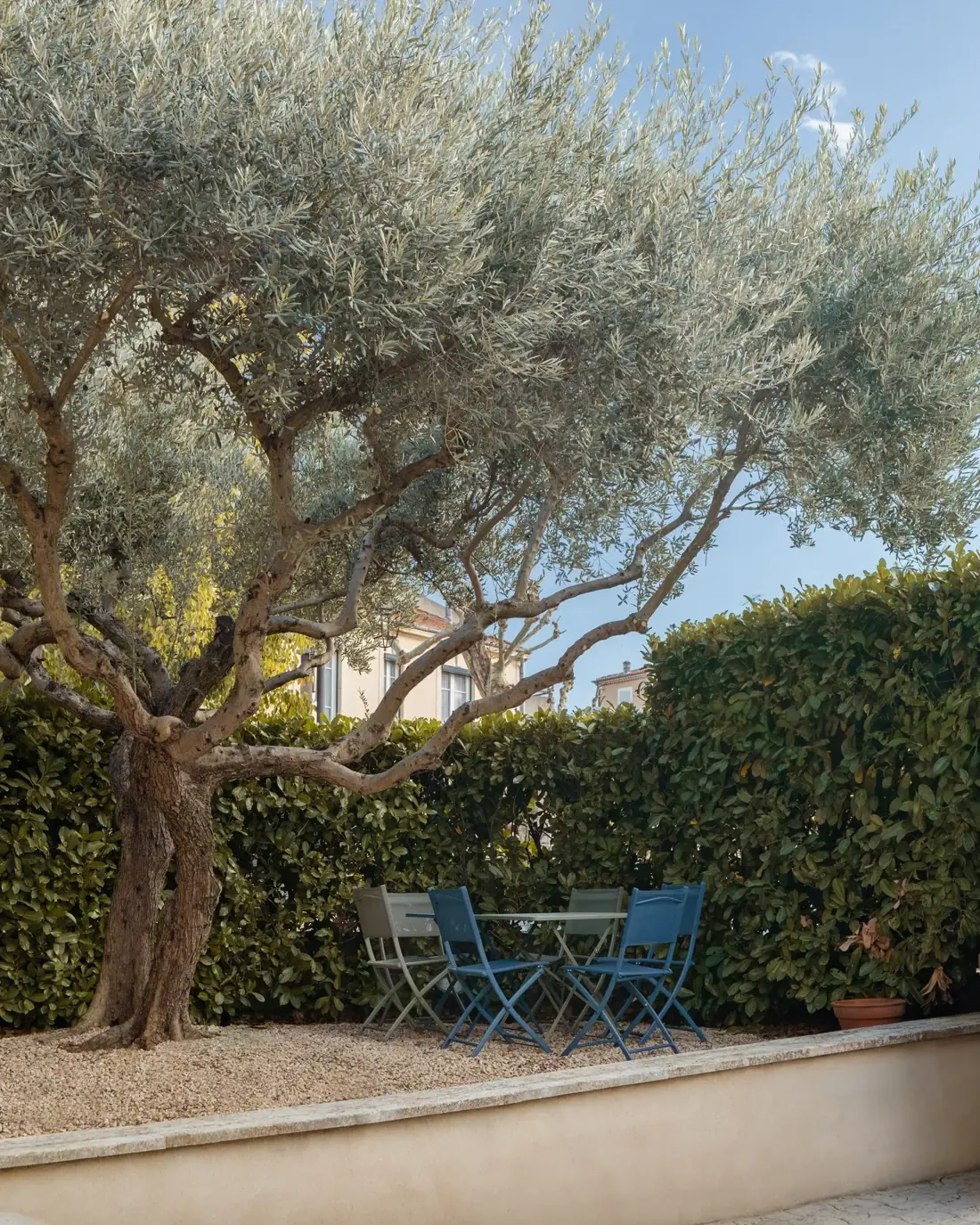 Cour de la Maison de Voltaire avec son olivier et une table de jardin
